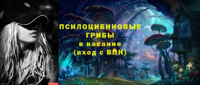 Галлюциногенные грибы ЛСД  магазин продажи   Октябрьский 